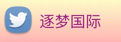 逐梦国际 logo